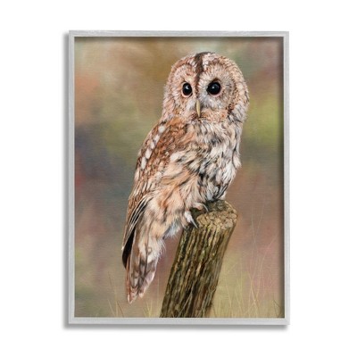Stupell Industries Brown Tawny Owl Perched Framed Giclee