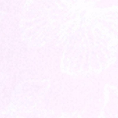 Pink Floral