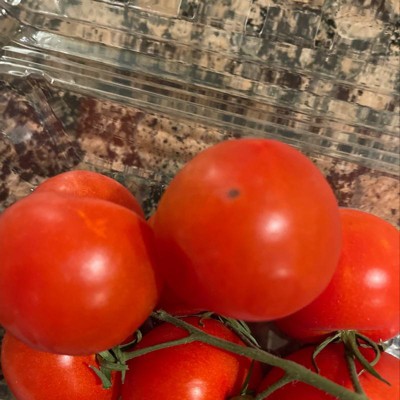 Cocktail Tomatoes - 16oz - Good & Gather™ (packaging May Vary) : Target