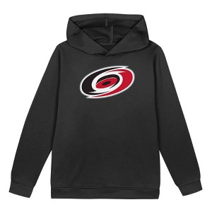NHL Carolina Hurricanes Toddler Boys' Hooded Sweatshirt - 1 of 1