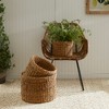 Plum & Post Seagrass Round Baskets With Cuffs Set of 3 - 2 of 4