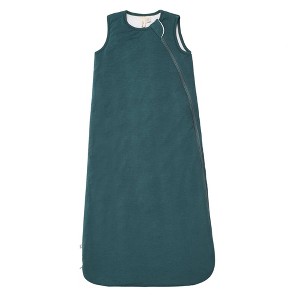 Kyte Baby Sleep Bag 2.5 TOG - 1 of 4