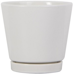 Trendspot Ceramic Knack Planter - 4 in. - White (Case of 12) - 1 of 1