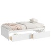 Twin Size Platform Bed Frame with 2 Drawers - ModernLuxe - 3 of 4