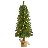 3ft Nearly Natural Pre-Lit Alpine Artificial Christmas Tree Clear Lights in Burlap Planter