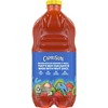 Capri Sun Strawberry Kiwi Flavored Juice Drink Blend, 64 oz Bottle, Pack of 4 - 2 of 2