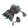 Novelty Lights 11 Feet 50 Bulbs Incandescent Mini Lights, Clear on Brown Wire with 2.5" Spacing, UL Listed for Indoor/Outdoor Use, Connectable - 2 of 4