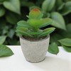 Unique Bargains Artificial Plants Green 2.76"x2.76"x4.33" 1 Pcs - 2 of 4