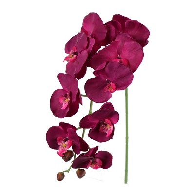 Floral Home 33.5" Purple Phalaenopsis Stem with 9 Flowers - 12-Piece