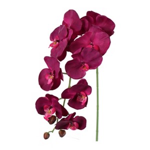 Floral Home 33.5" Purple Phalaenopsis Stem with 9 Flowers - 12-Piece - 1 of 3