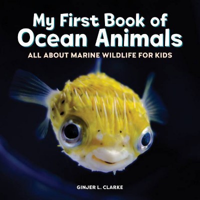 My First Book of Ocean Animals - by  Ginjer L Clarke (Paperback)