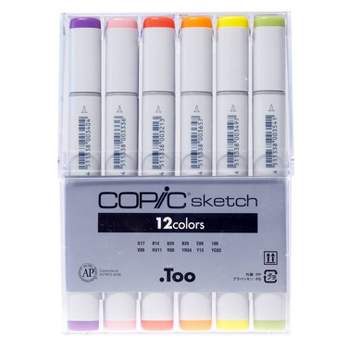 Crayola 6ct Project Erasable Poster Markers : Target