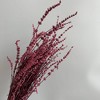 Alilang Dried Greenery Stems for Home Decoration and Floral Arrangements, 17.7 Inches - 2 of 3