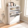 Storage Cabinet, Accent Cabinet with Solid Wood Feet - 2 of 4
