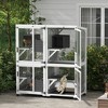 PawHut Catio Outdoor, Large Cat Enclosure, Wooden Kitten House, Elevated Design, with Wheels, Water-Resistant, Multi Platforms - 3 of 4