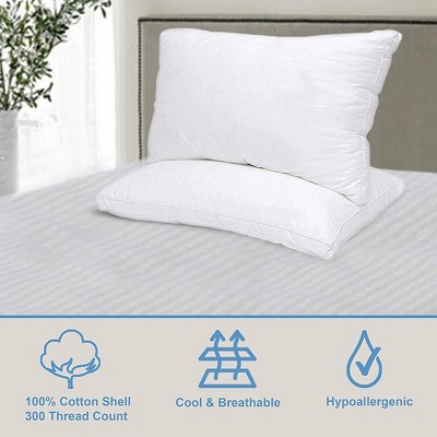 Euro Square Hypoallergenic Down-Alternative Pillow with Cotton Cover