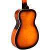 Gold Tone PBS-D Paul Beard Signature Series Squareneck Deluxe Resonator Guitar Tobacco Sunburst - 2 of 4