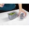 Kitchen Spaces Colander Bin, Produce Saver, Fridge Organizer With Lid, Wash, Strain and Store - 4 of 4