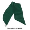 Unique Bargains Women's Triangle Design Headband 1 Pc - 3 of 4
