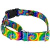 Country Brook Petz Martingale with Deluxe Buckle - Groovy Collection - 2 of 4