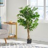 Okak 47IN Indoor Artificial Ficus Tree with Glossy Leaves and Twisted Trunk, Pre-Potted Faux Trees with Pot, Plants Decor for Home, Office, Green - 2 of 4