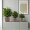 SpassWay 15" Dia Outdoor Indoor Ceramic Planter Pot Decorative Planter with Drainage Hole Patio Flower Pot - 4 of 4