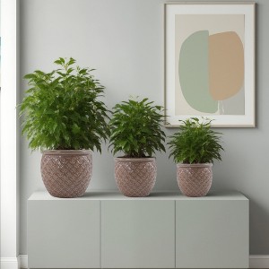 SpassWay 15" Dia Outdoor Indoor Ceramic Planter Pot Decorative Planter with Drainage Hole Patio Flower Pot - 1 of 4