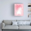 Trademark Fine Art - Tina Lavoie Round Fan Palm Leaves In Pink Canvas Art - image 2 of 4