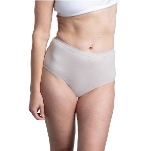 Fruit Of the Loom Women's Cotton Brief Panty,3 Pack - 1 of 3