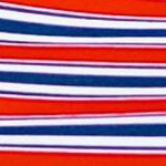 navy & red stripe