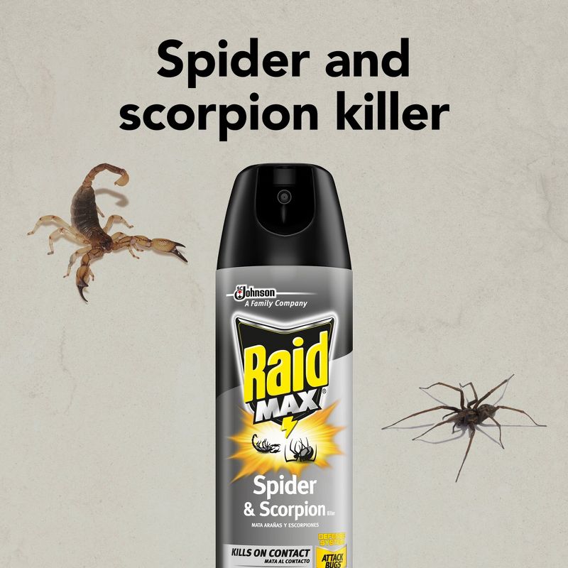 Raid Max Spider &#38; Scorpion Killer - 12oz, 6 of 14