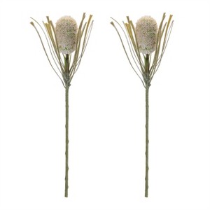 Protea Floral Stem (Set of 2) - 1 of 3