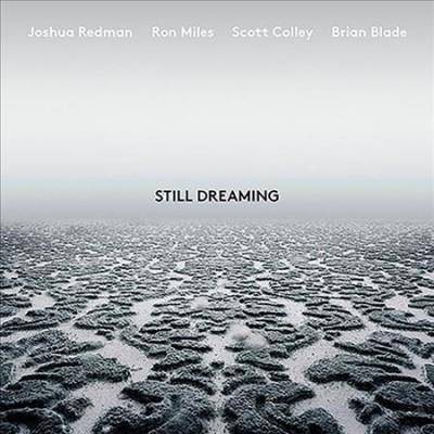 Joshua Redman - Still Dreaming (CD)