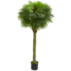 HomeStock  5.5 ft. Artificial Palm Tree in Pot for Indoor/Outdoor - 1 of 1