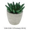 Unique Bargains Artificial Plants Mini Pulp Plastic Green 2.76"x2.76"x3.54" 1 Pcs - 3 of 4