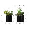 Gulches Series 7 in Artificial Succulent Tree in Glossy Black Pot Green Set of 2 - 4 of 4