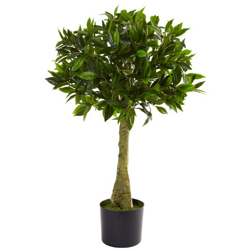 Nearly Natural 3-ft Bay Leaf Topiary UV Resistant (Indoor/Outdoor) - image 1 of 4