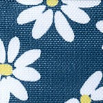 evening blue daisies