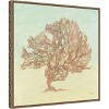 Amanti Art Sea Fern II by Julia Purinton Framed Canvas Wall Art - 3 of 4