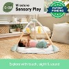 Ingenuity Tummy-To-Toes 6-in-1 Baby Activity Gym - Chic Boutique - 4 of 4