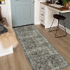 Runner Rug Machine Washable, Non-Slip Low Pile Vintage Carpet for Kitchen, Laundry, Entryway - 2 of 4