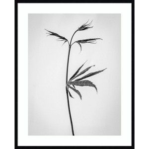 Amanti Art 33"x41" Amid the Flowers 65 by Teis Albers Wood Framed Wall Art: Giclee Botanical Print, Vertical Wall Decor - 1 of 4
