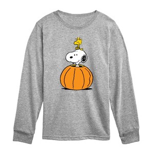 Boys' - Peanuts - Snoopy Woodstock Pumpkin Long Sleeve Graphic T-Shirt - 1 of 4