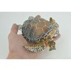 Turtle, Green Sea Turtle, Museum Quality, Hand Painted, Rubber Reptile, Realistic, Model, Replica, Toy, Kids, Gift,  6 Inches.  CH1003 BB221 - 3 of 4