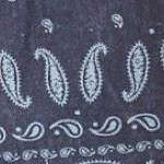 navy bandana