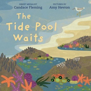 The Tide Pool Waits - by Candace Fleming - 1 of 1