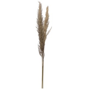 Storied Home 43-1/4"H Dried Natural Pampas Grass Bunch - 1 of 3