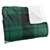 Chicago State University Campus Plaid Spirit Silky Touch Super Soft Throw Blanket 50x60 - 3 of 4
