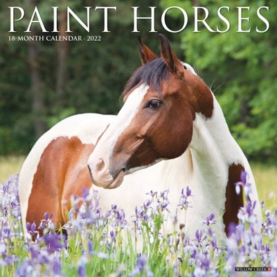 2022 Wall Calendar Paint Horses - Willow Creek Press