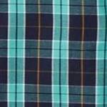 tidal green plaid
